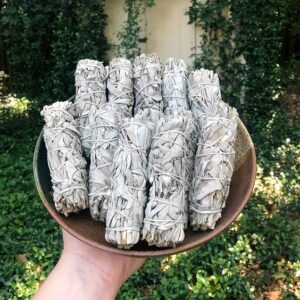Plants and Natural Medicine